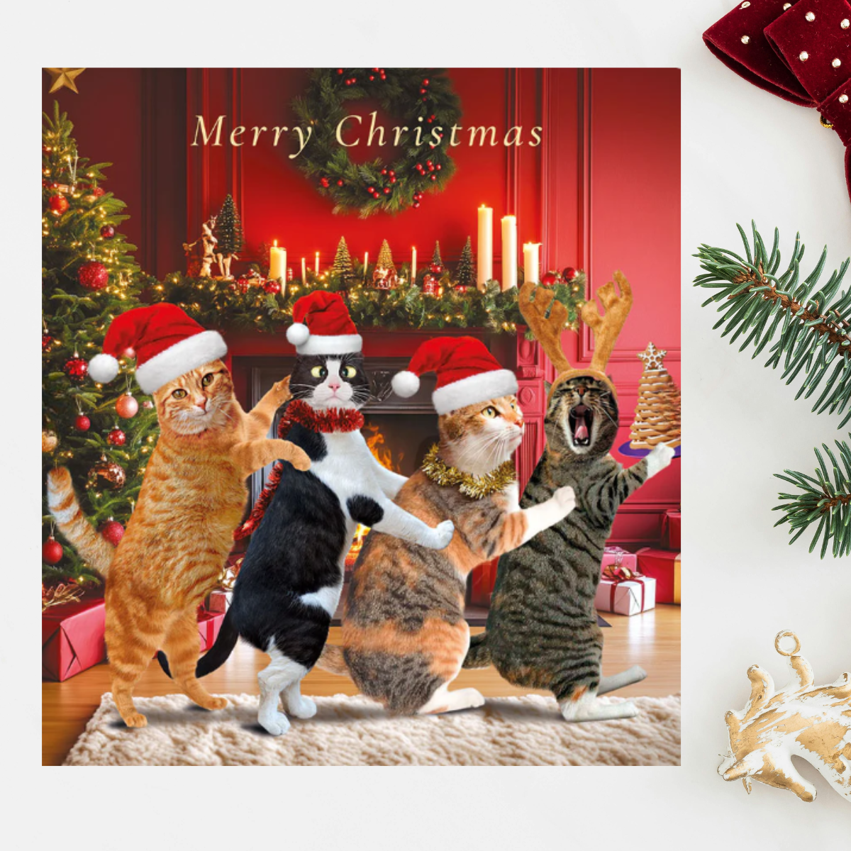 24 x Christmas Cards In Box - Tracks Deluxe Cat Assortment