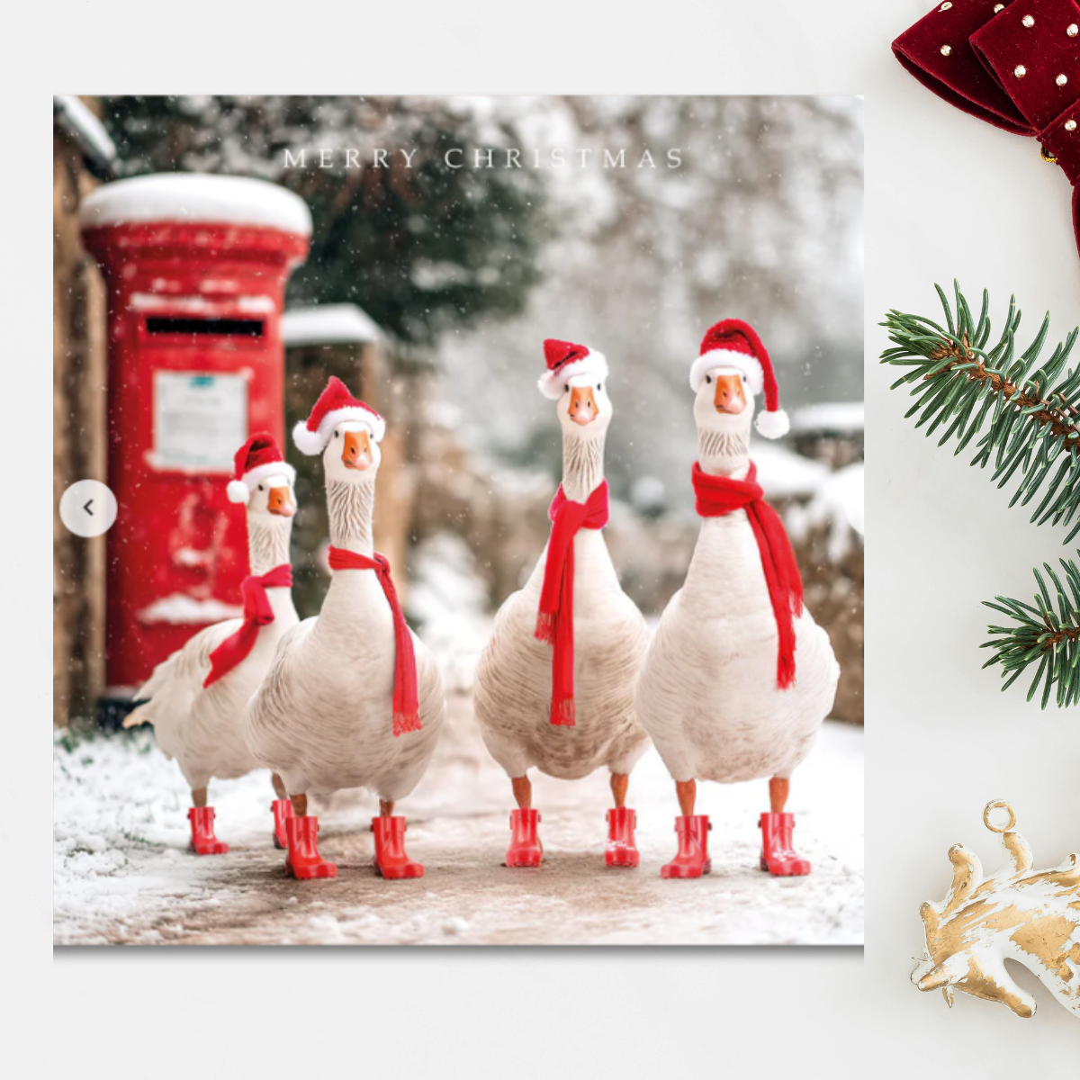 24 x Christmas Cards In Box - Tracks Deluxe Snowy Robins
