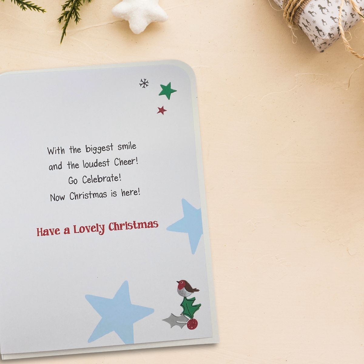 Nephew Christmas Card - Twingles