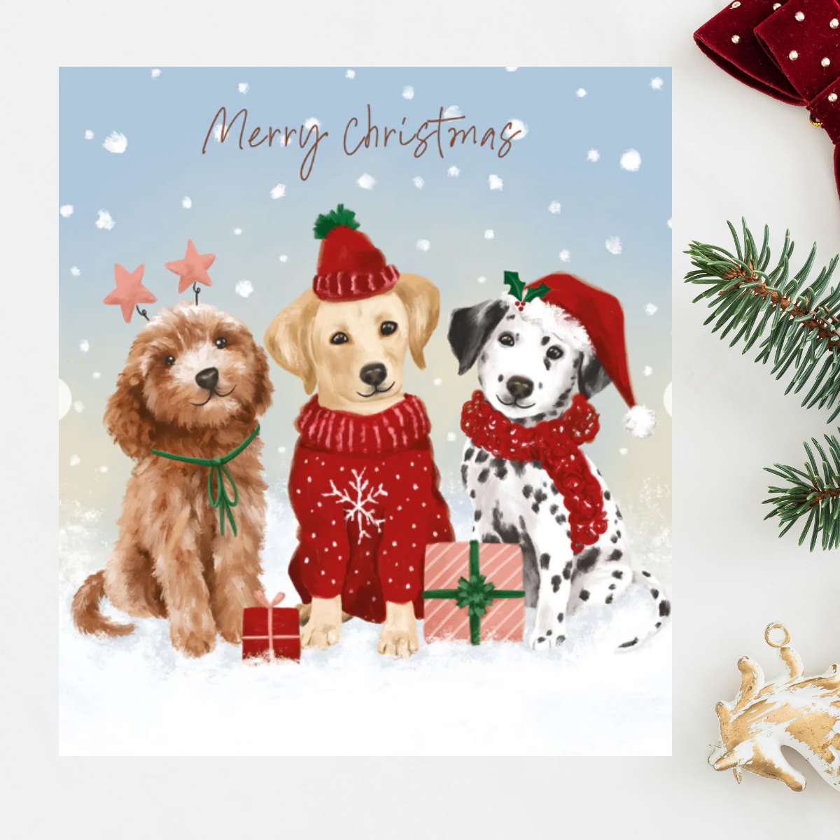 24 x Christmas Cards In Box - Tracks Deluxe Dog Assortment