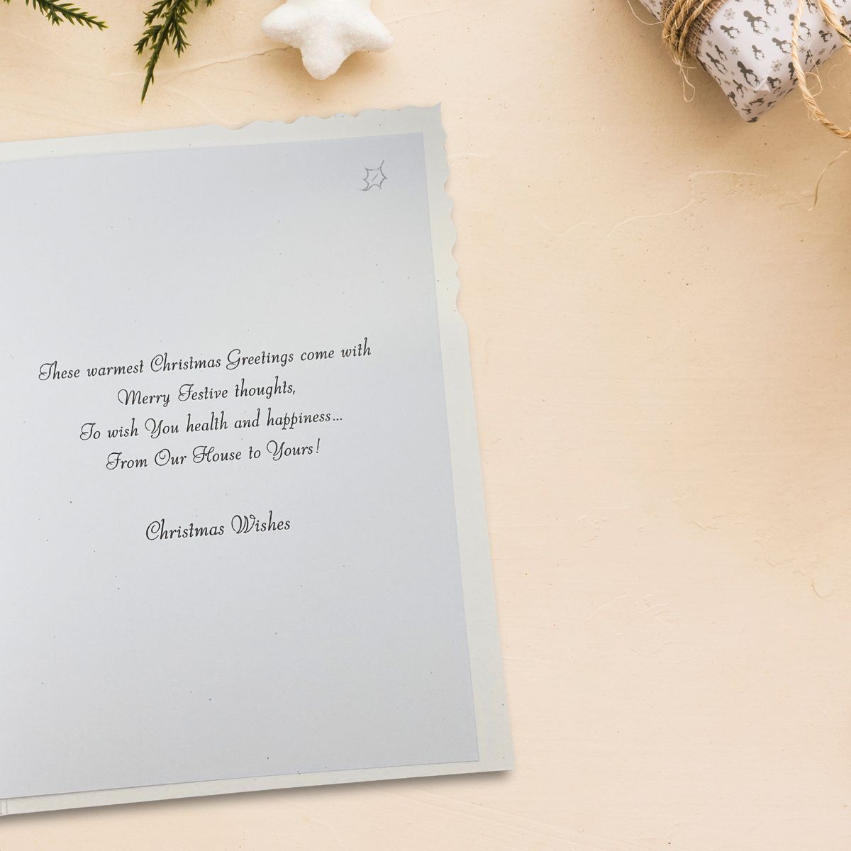 Our House To Yours Christmas Card - Velvet Geese