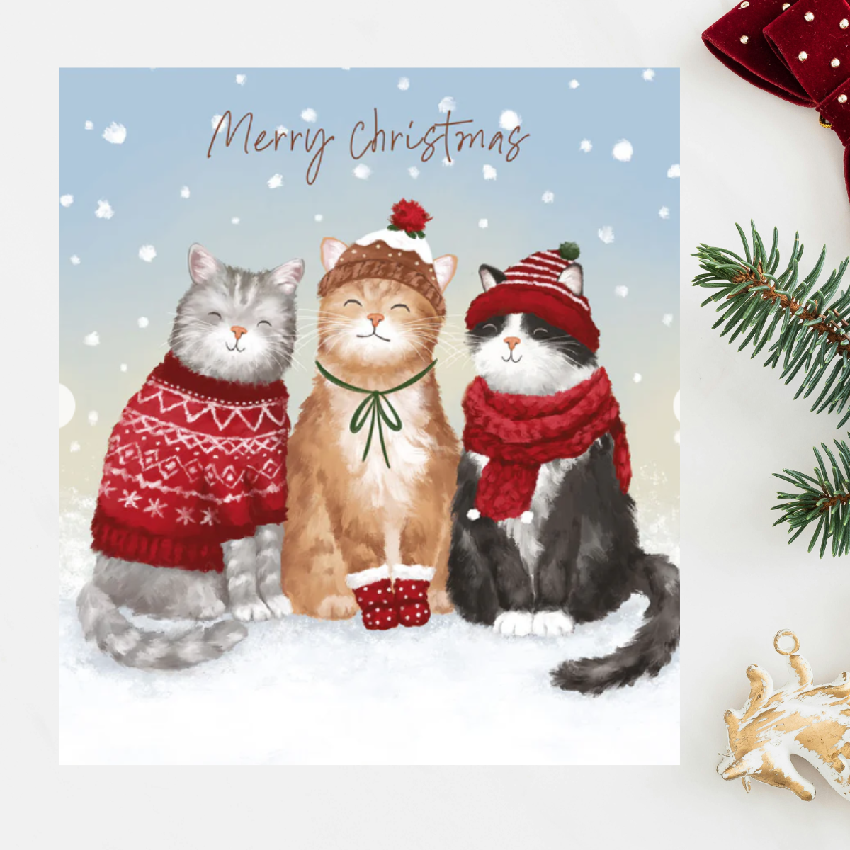 24 x Christmas Cards In Box - Tracks Deluxe Cat Assortment