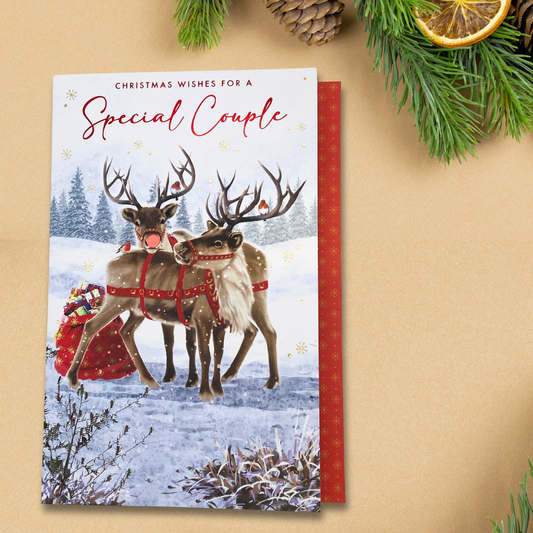 Special Couple Christmas Card - Reindeer & Robins