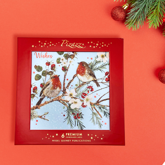 6 x Christmas Cards In Box - Pizazz Premium Handmade Robins