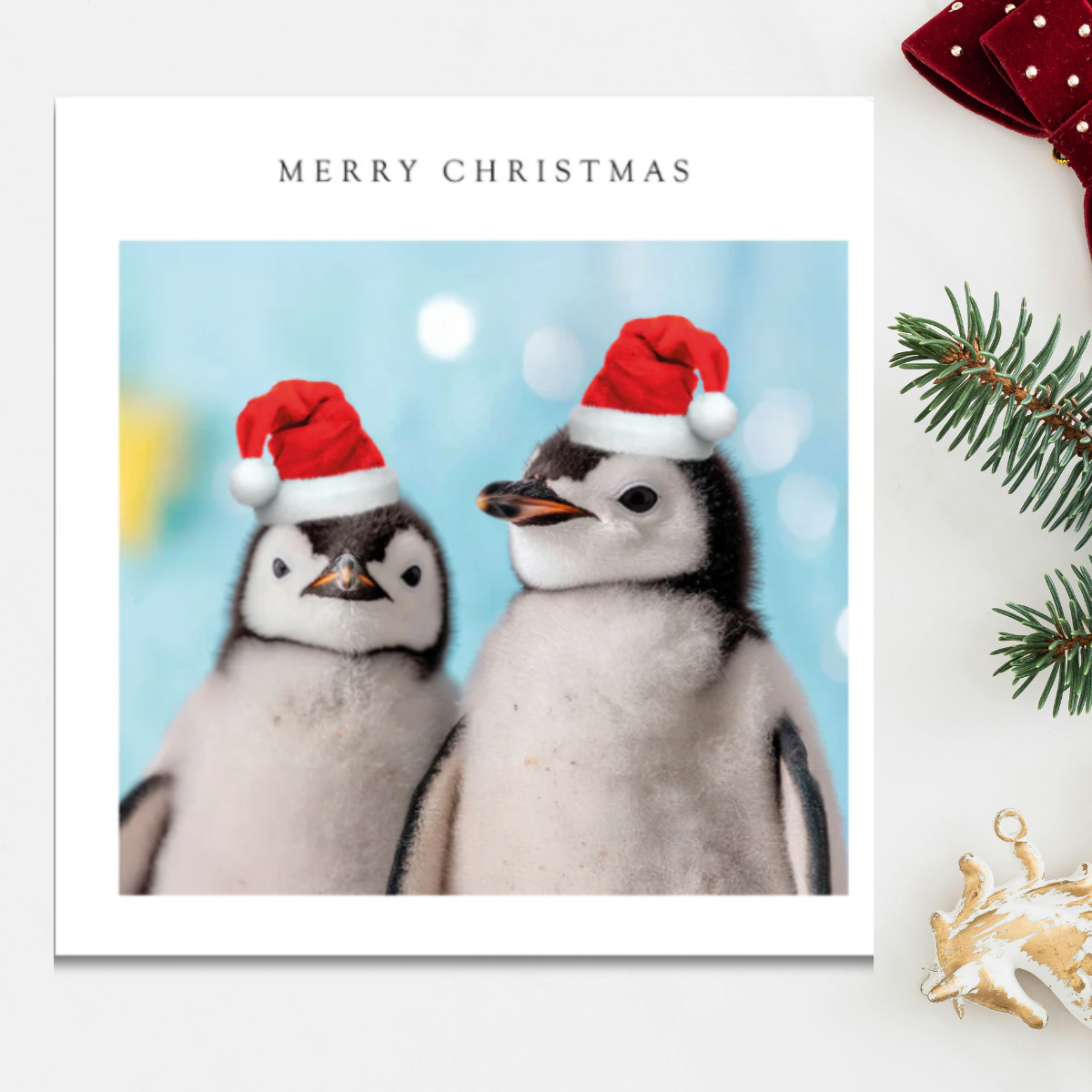 24 x Christmas Cards In Box - Tracks Deluxe Christmas Penguins