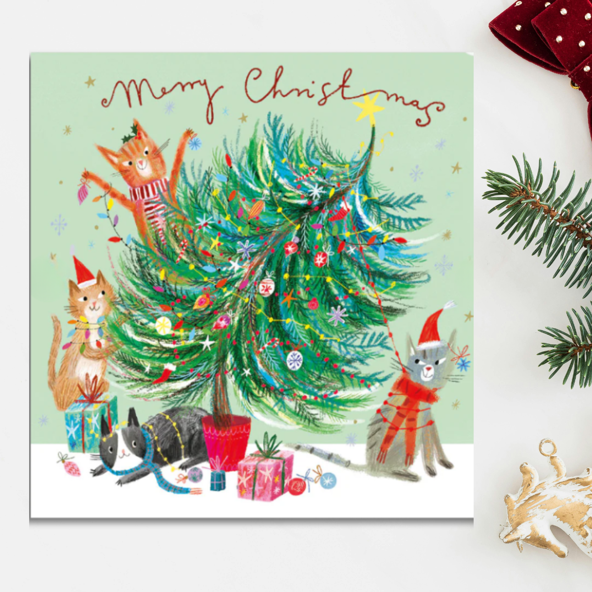 24 x Christmas Cards In Box - Tracks Deluxe Cat Assortment