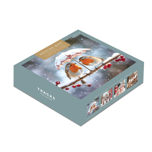 24 x Christmas Cards In Box - Tracks Deluxe Snowy Robins