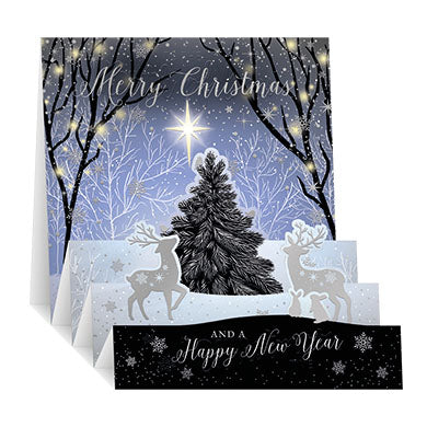 Open Christmas Card - Zig Zag Pop Up