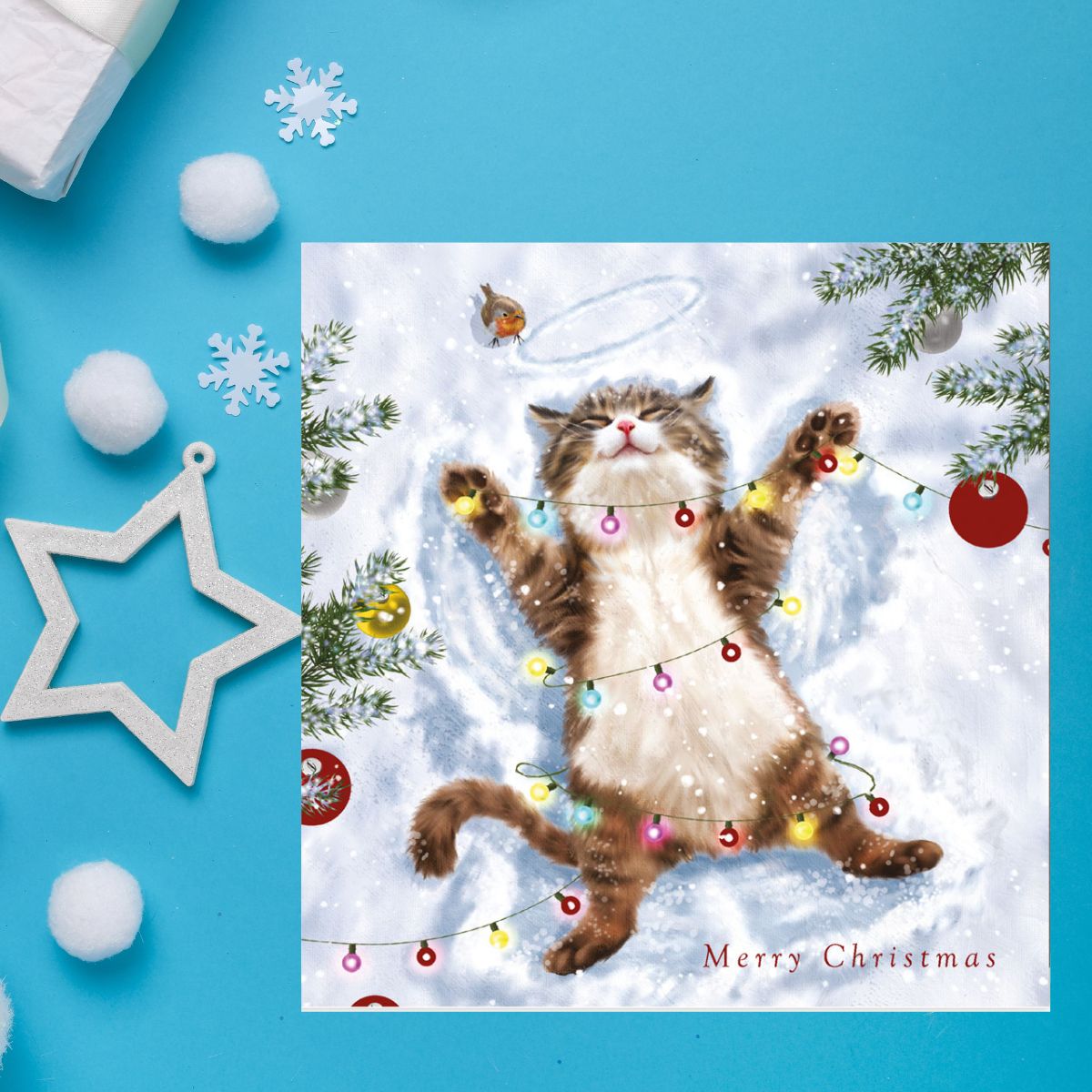 Charity Christmas Cards - 5 x Cat & Christmas Lights