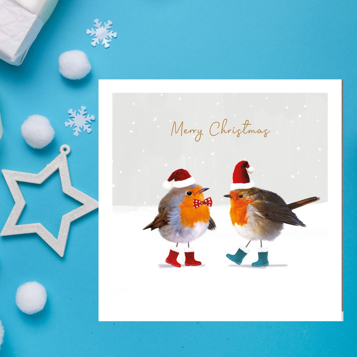Charity Christmas Cards - 5 x Welly Robins