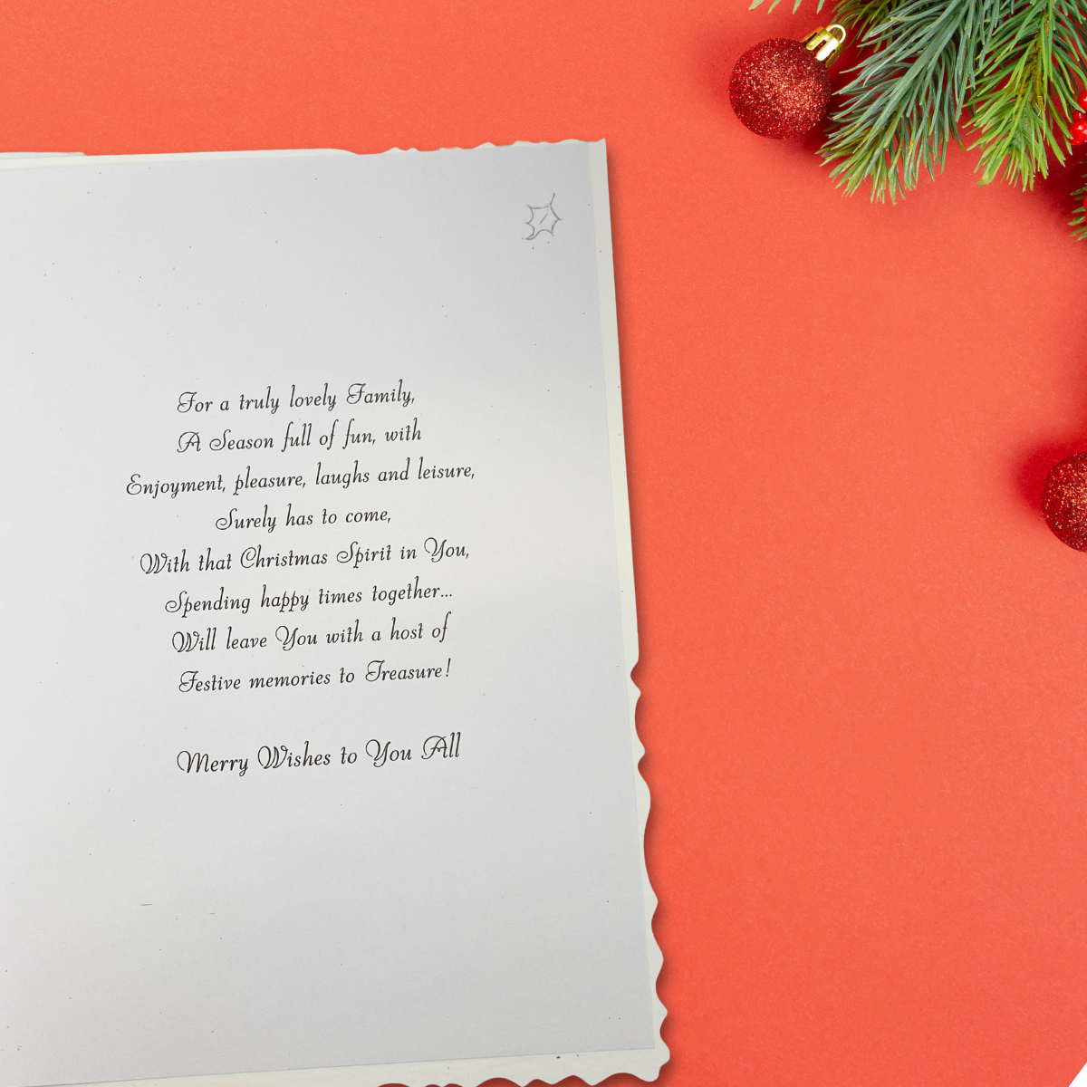 Son & Family Christmas Card - Velvet Geese
