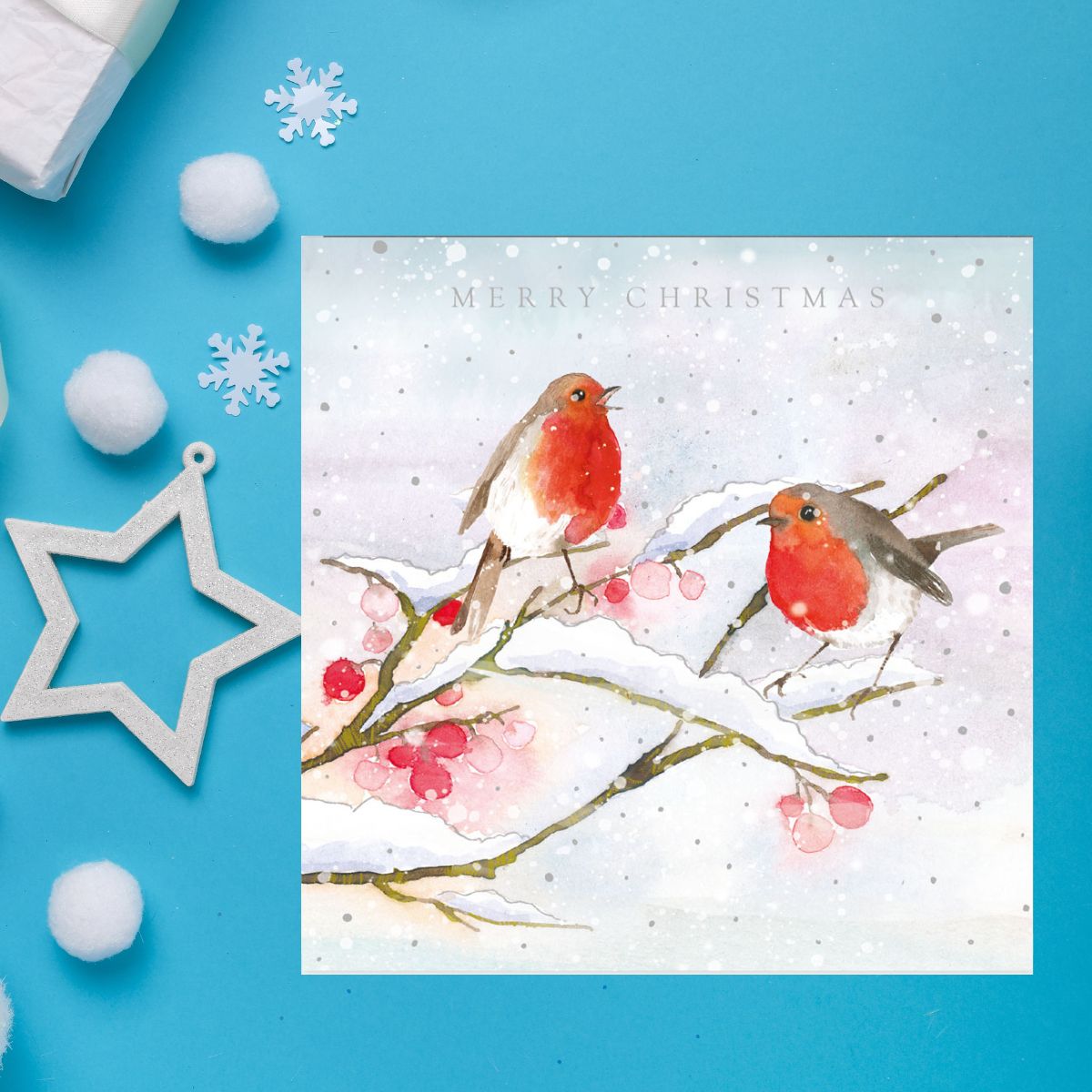 Charity Christmas Cards - 5 x Resting Robins