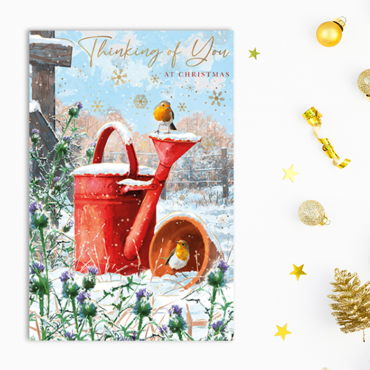 Thinking Of You Christmas Card - Robins & Watering Can