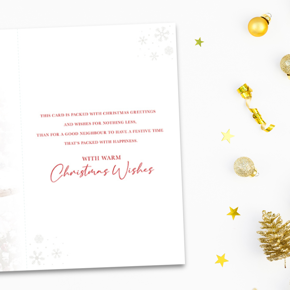 Neighbour Christmas Card - Snowy Robins
