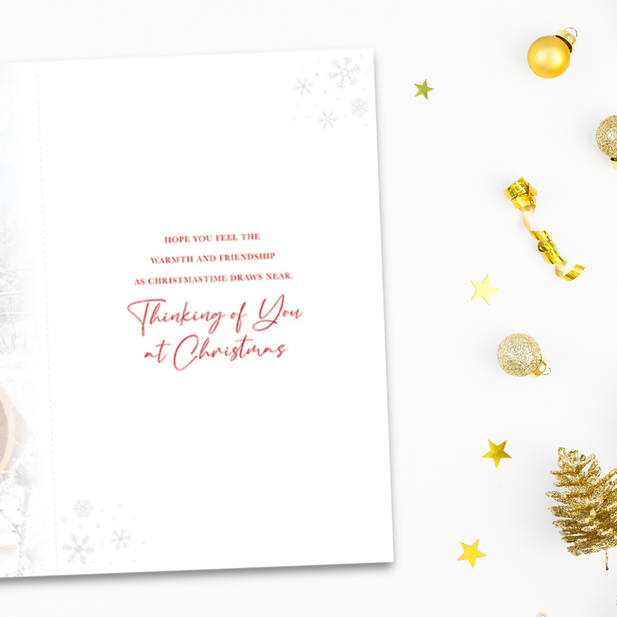 Thinking Of You Christmas Card - Robins & Watering Can