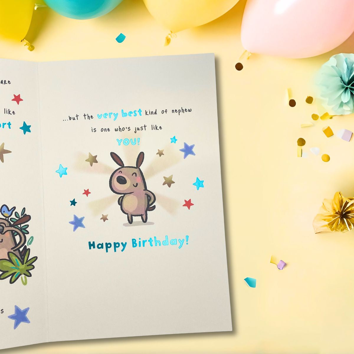 Nephew Birthday Card - Fiddlesticks