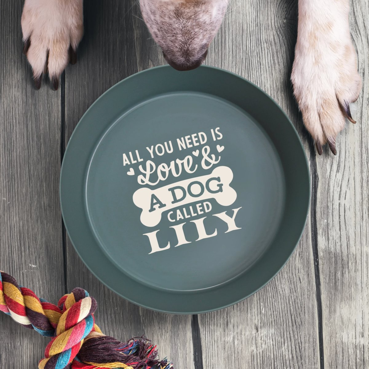 Personalised Dog Bowl - Lily