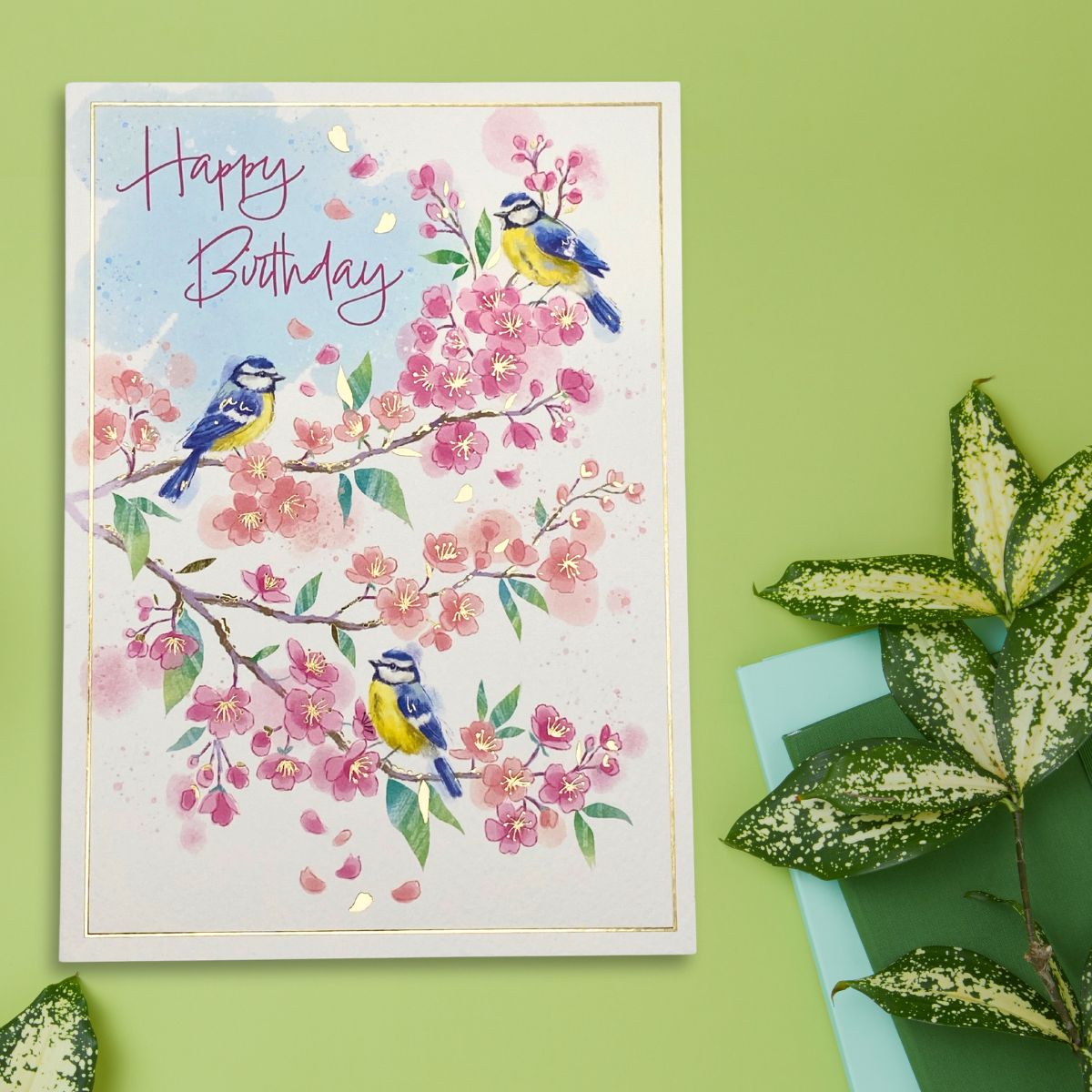 Awash With Colour Birthday Card - Blue Tits