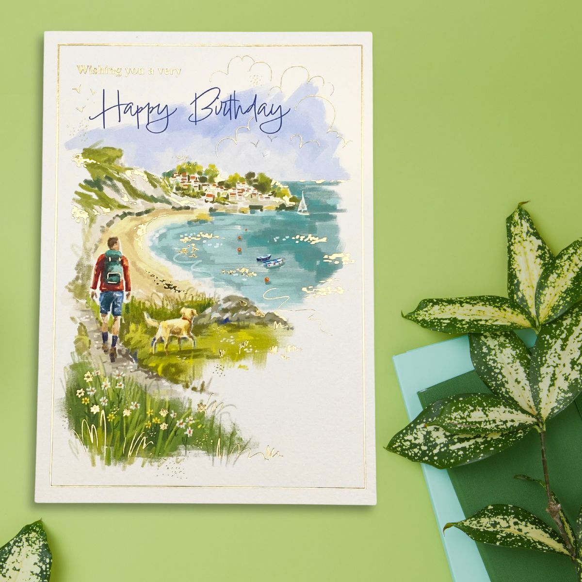 Awash With Colour Birthday Card - Dog Walk