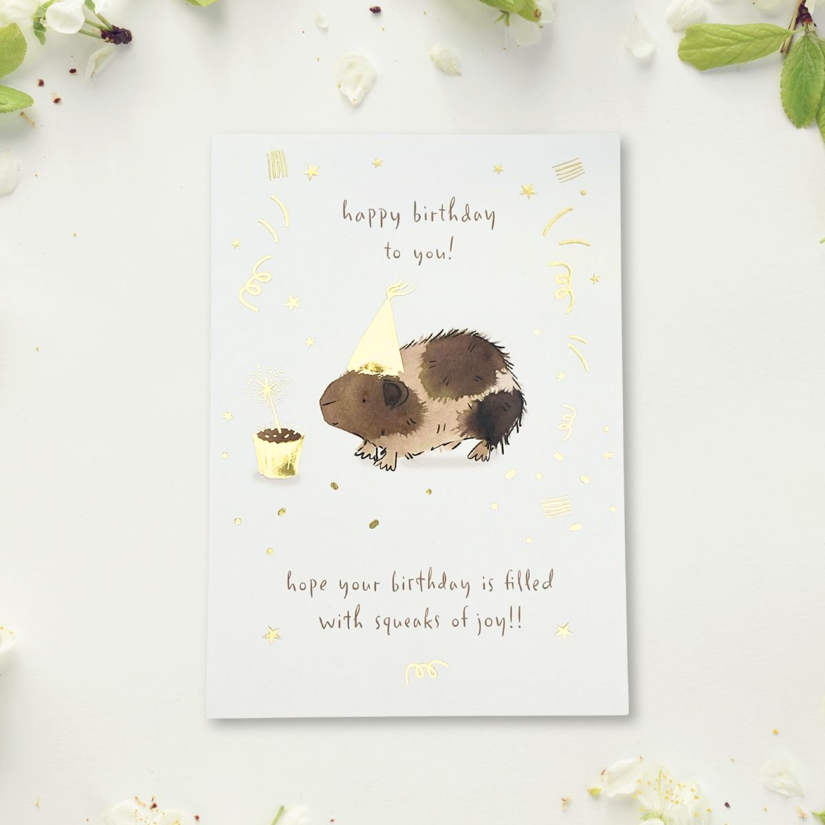 Brush & Whisker Birthday Card - Guinea Pig