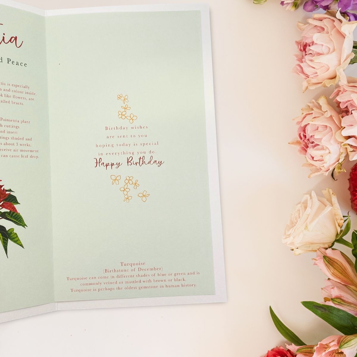 December Birthday Card - Month You Were Born Poinsettia