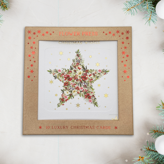 10 x Christmas Cards In Box - Flower Press Floral Star