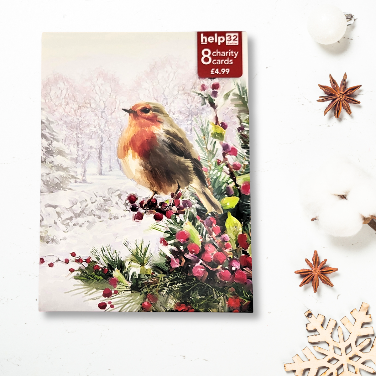 Christmas Charity Cards - 8 x Snowy Robin