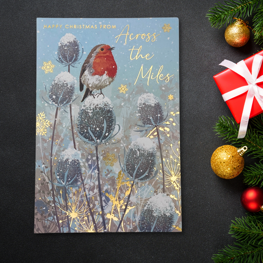 Across The Miles Christmas Card - Robin & Thistles