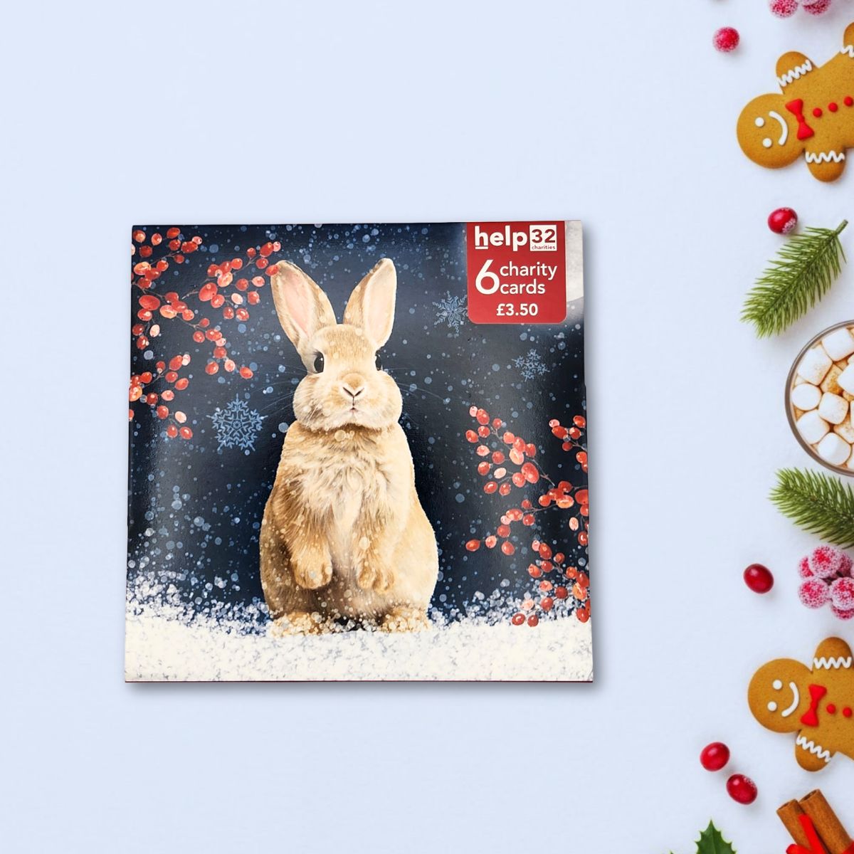 Charity Christmas Cards - 6 x Snowy Hare & Berries