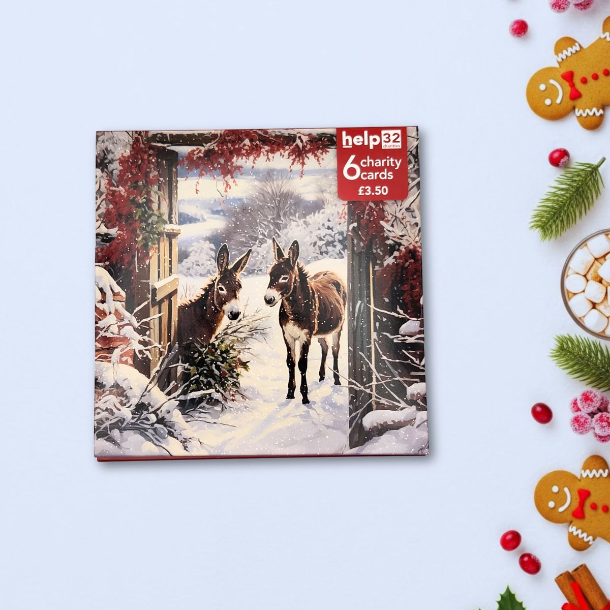 Charity Christmas Cards - 6 x Donkeys In The Snow