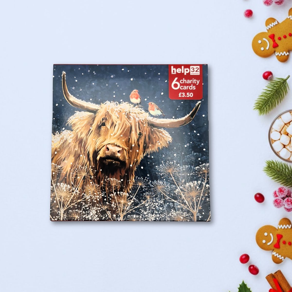Charity Christmas Cards - 6 x Highland Cow & Robins
