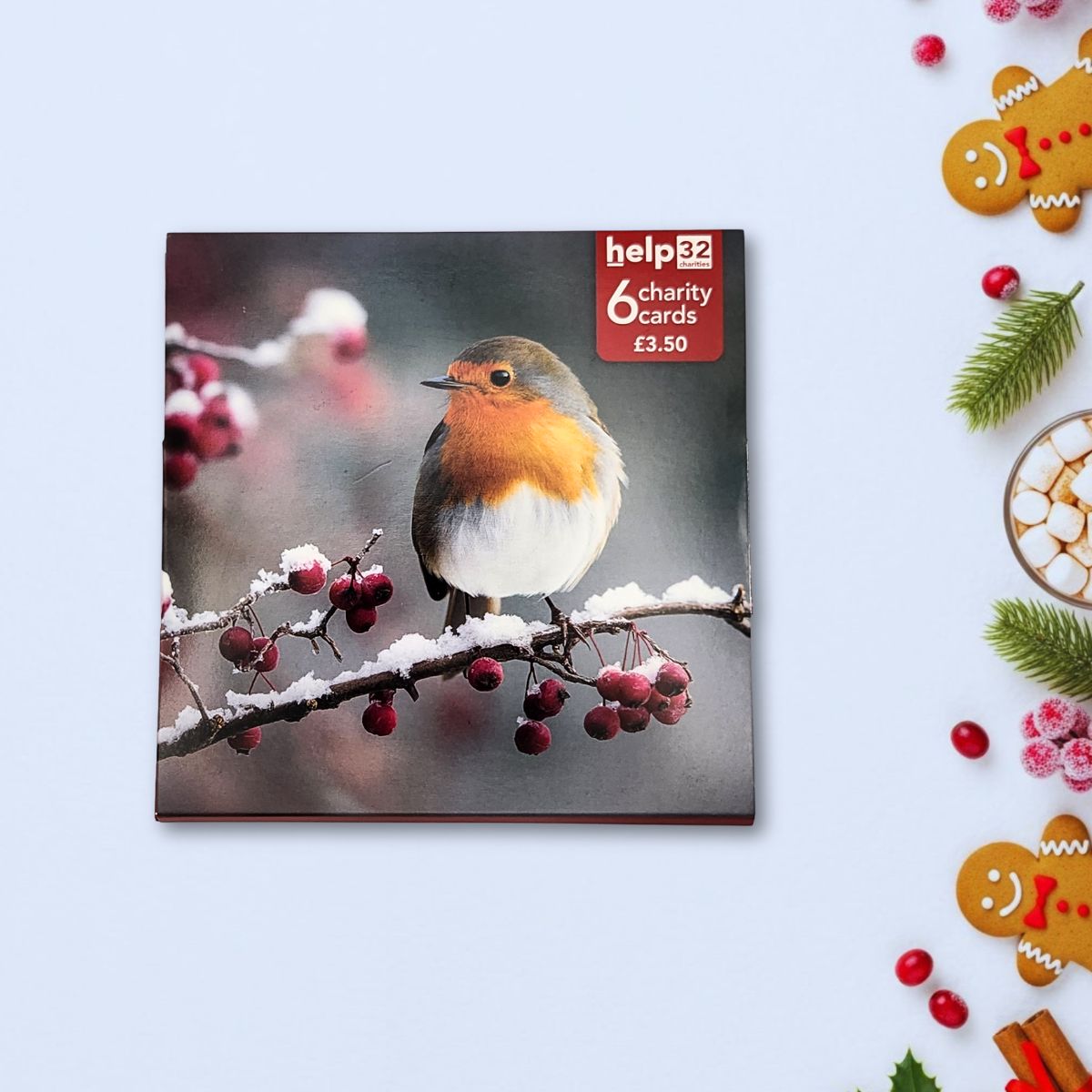 Charity Christmas Cards - 6 x Photographic Robin On Branch