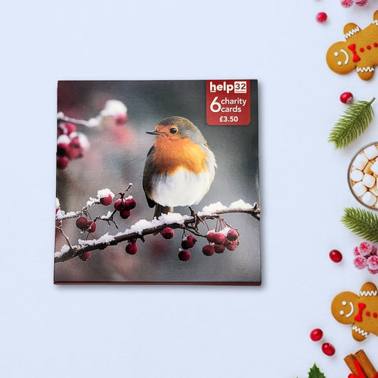 Charity Christmas Cards - 6 x Photographic Robin On Branch