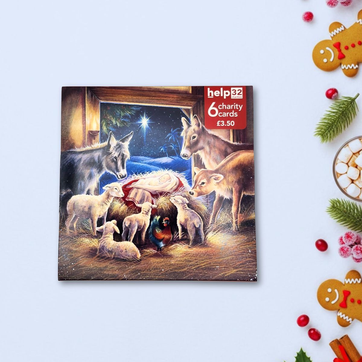 Charity Christmas Cards - 6 x Nativity Scene