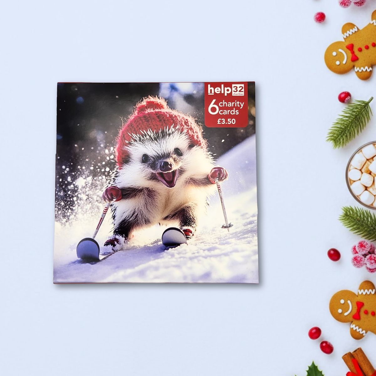 Charity Christmas Cards - 6 x Skiing Hedgehog