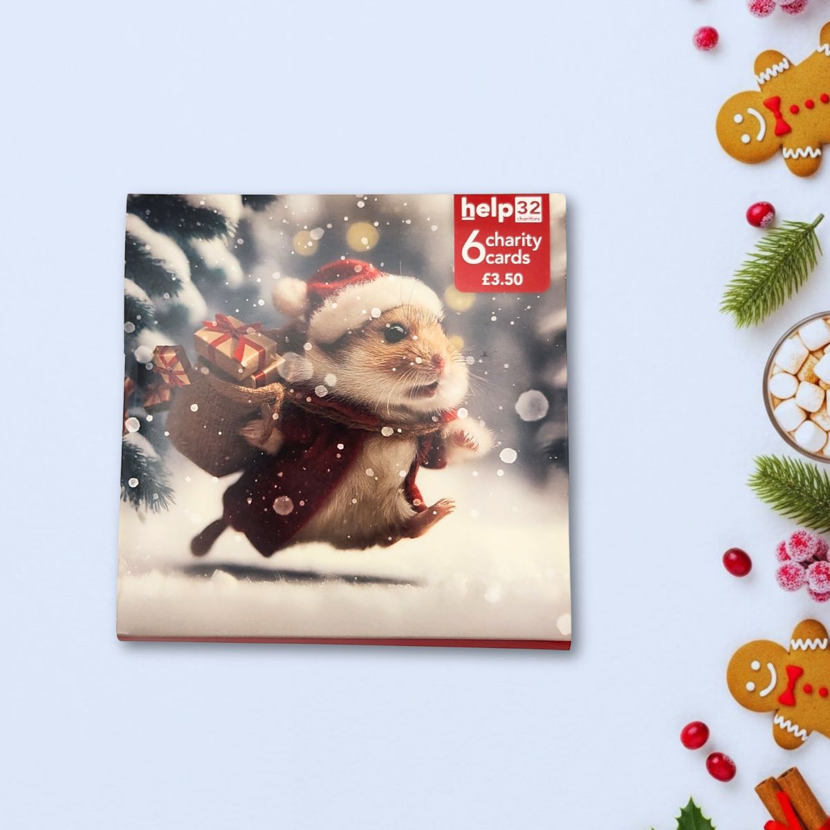 Charity Christmas Cards - 6 x Christmas Hamster