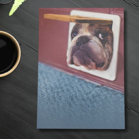 Funny Birthday Card - Giggles Bulldog Cat Flap