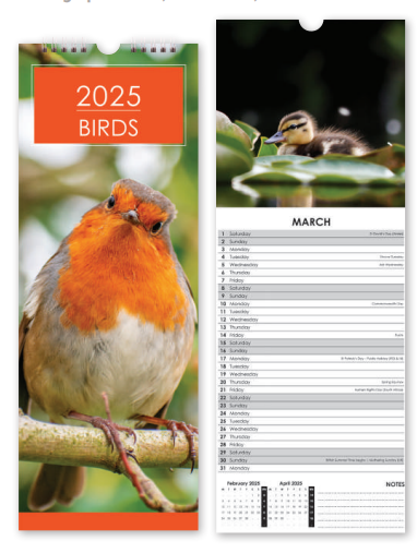 Birds - Slim Calendar 2025 With Envelope