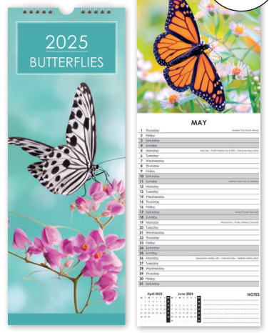 Butterflies - Slim Calendar 2025 With Envelope