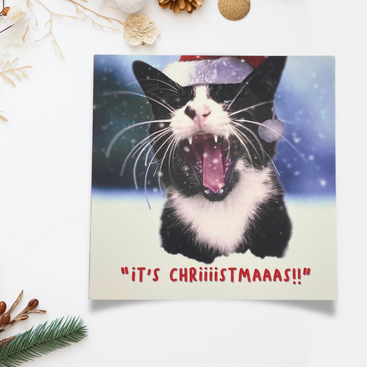 Funny Christmas Card - Virtual Safari Cat Christmas!