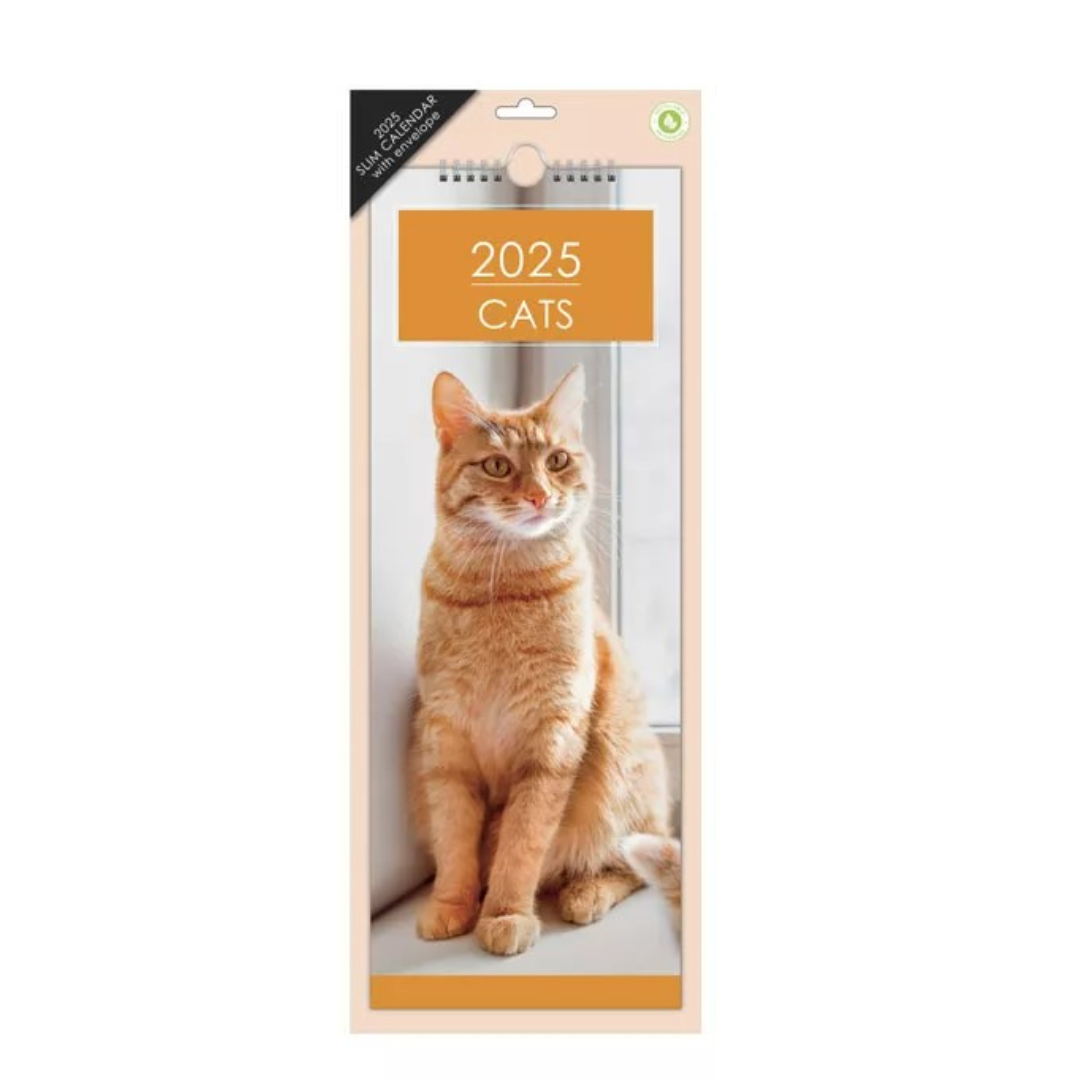 Cats - Slim Calendar 2025 With Envelope