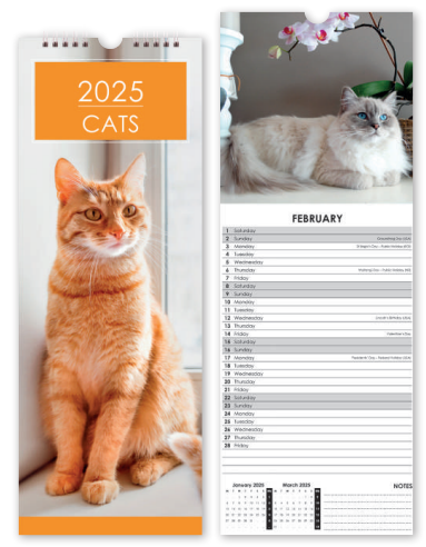 Cats - Slim Calendar 2025 With Envelope