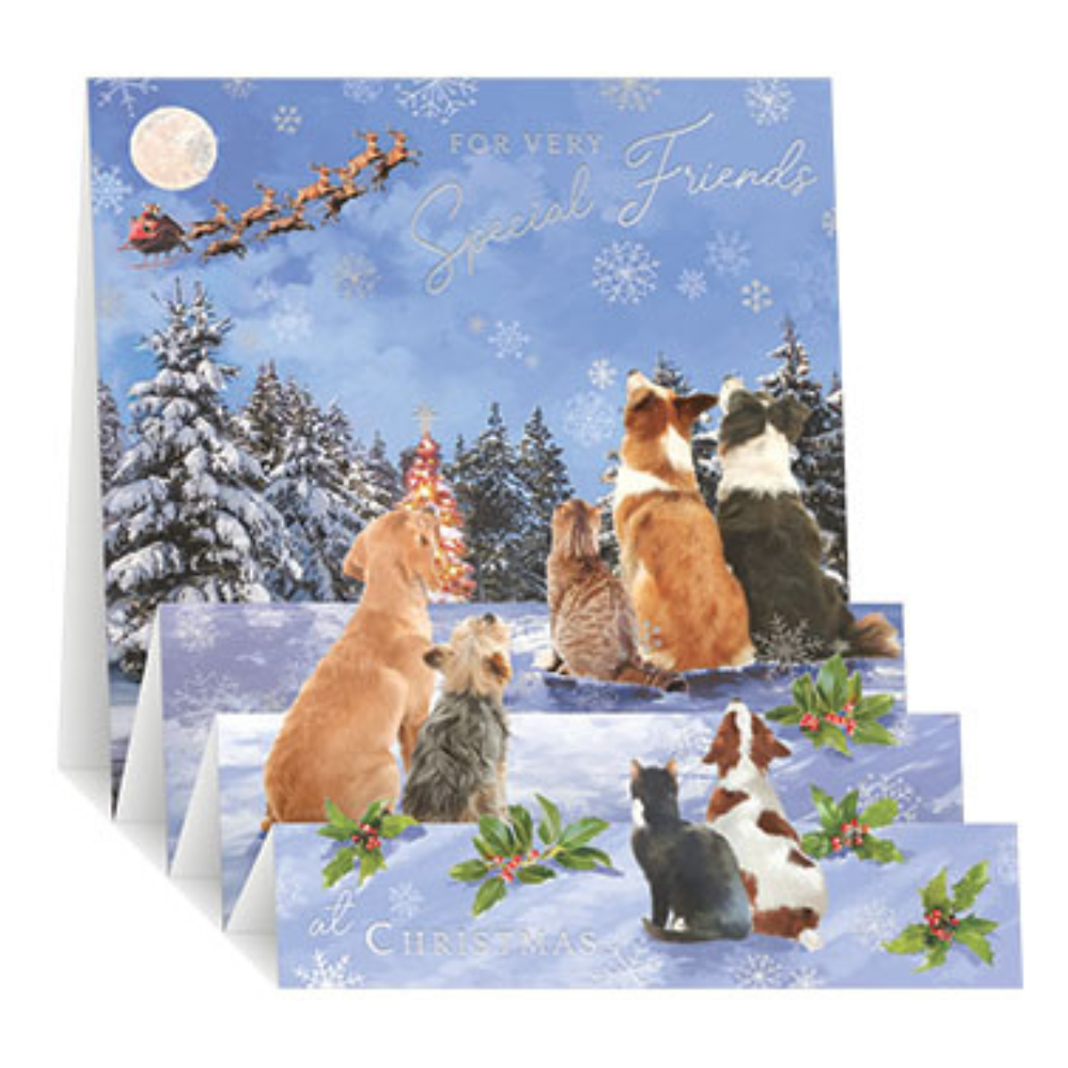 Friends Christmas Card - Zig Zag Pop Up Cats & Dogs