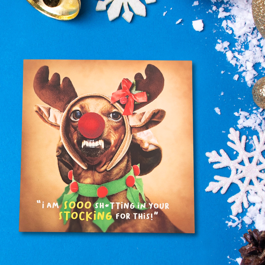 Funny Christmas Card - Virtual Safari Stocking