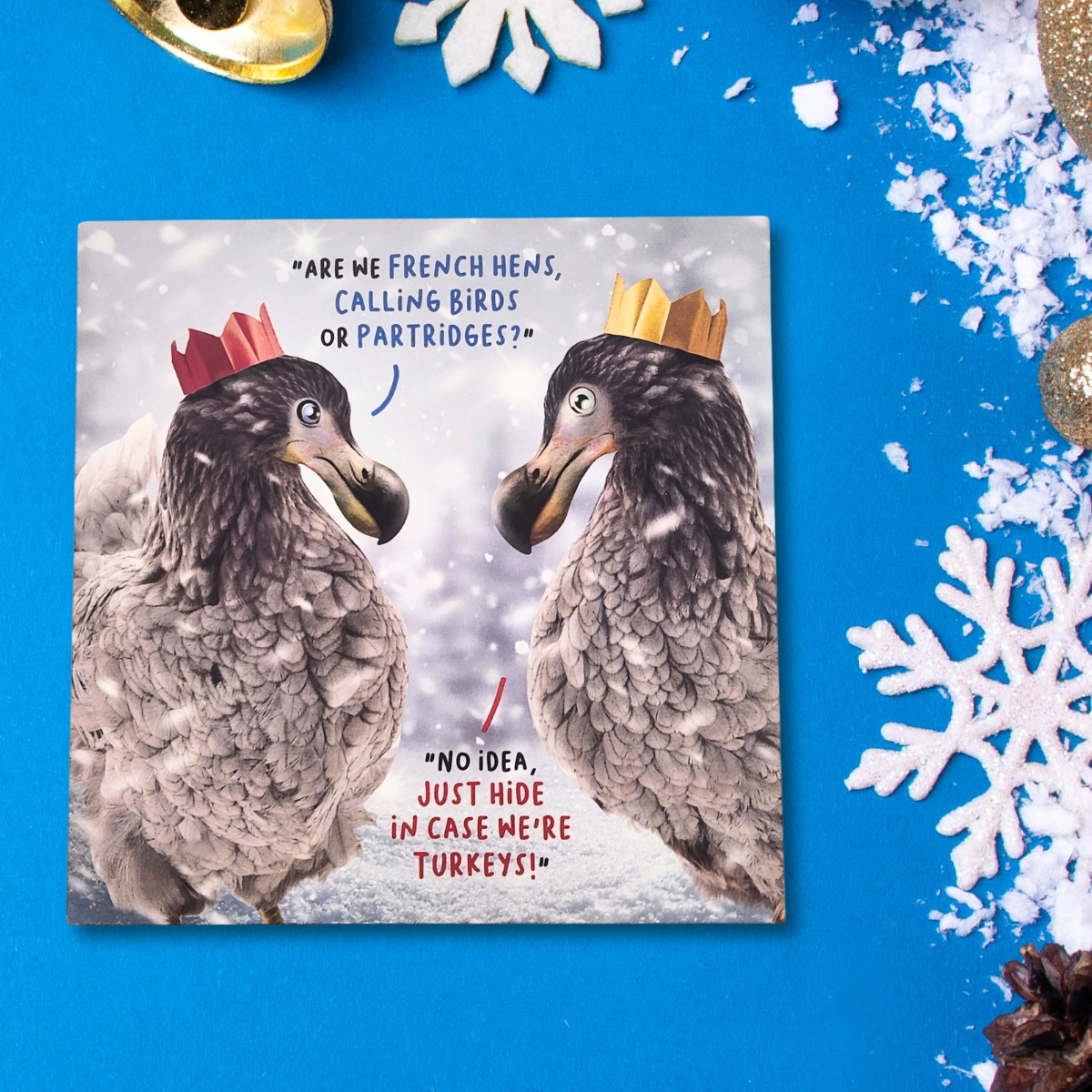 Funny Christmas Card - Virtual Safari Dodos
