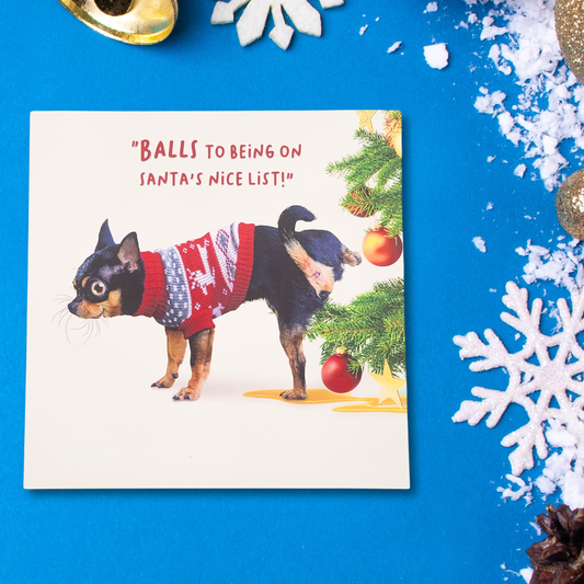 Funny Christmas Card - Virtual Safari Balls To Santa's List