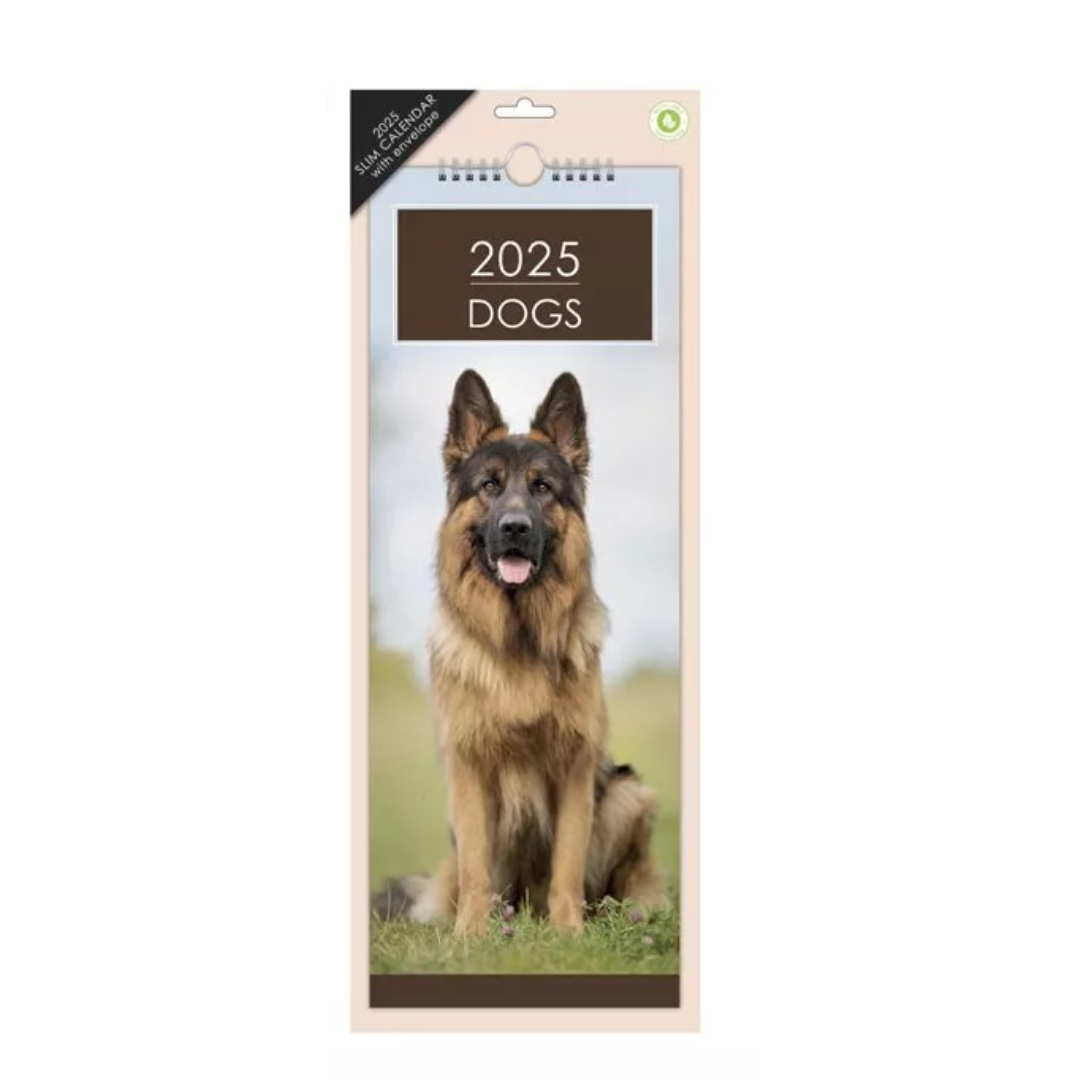 Dogs - Slim Calendar 2025 With Envelope