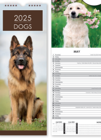 Dogs - Slim Calendar 2025 With Envelope