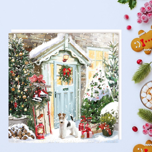 Charity Christmas Cards - 5 x Front Door Dog & Robin