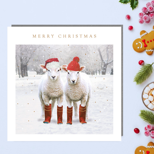 Charity Christmas Cards - 5 x Winter Sheep In Hats